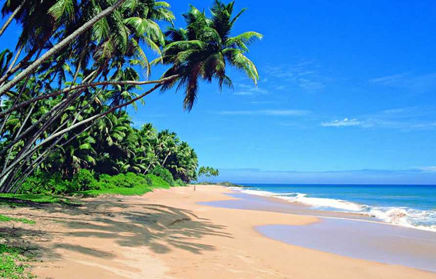 Kerla Goa Beach Holiday Tour
